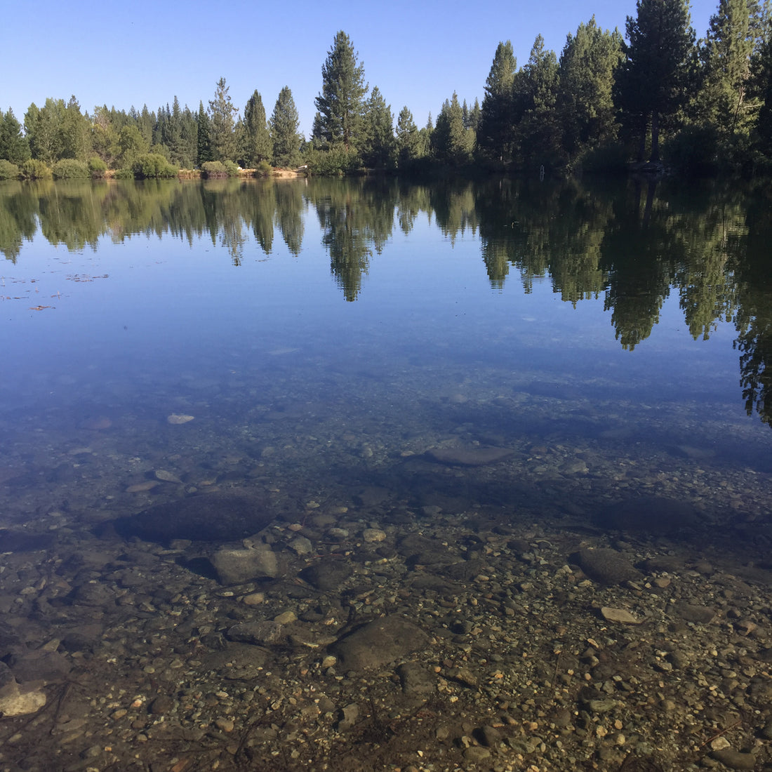 Is Soap Safe for Bathing in Lakes?