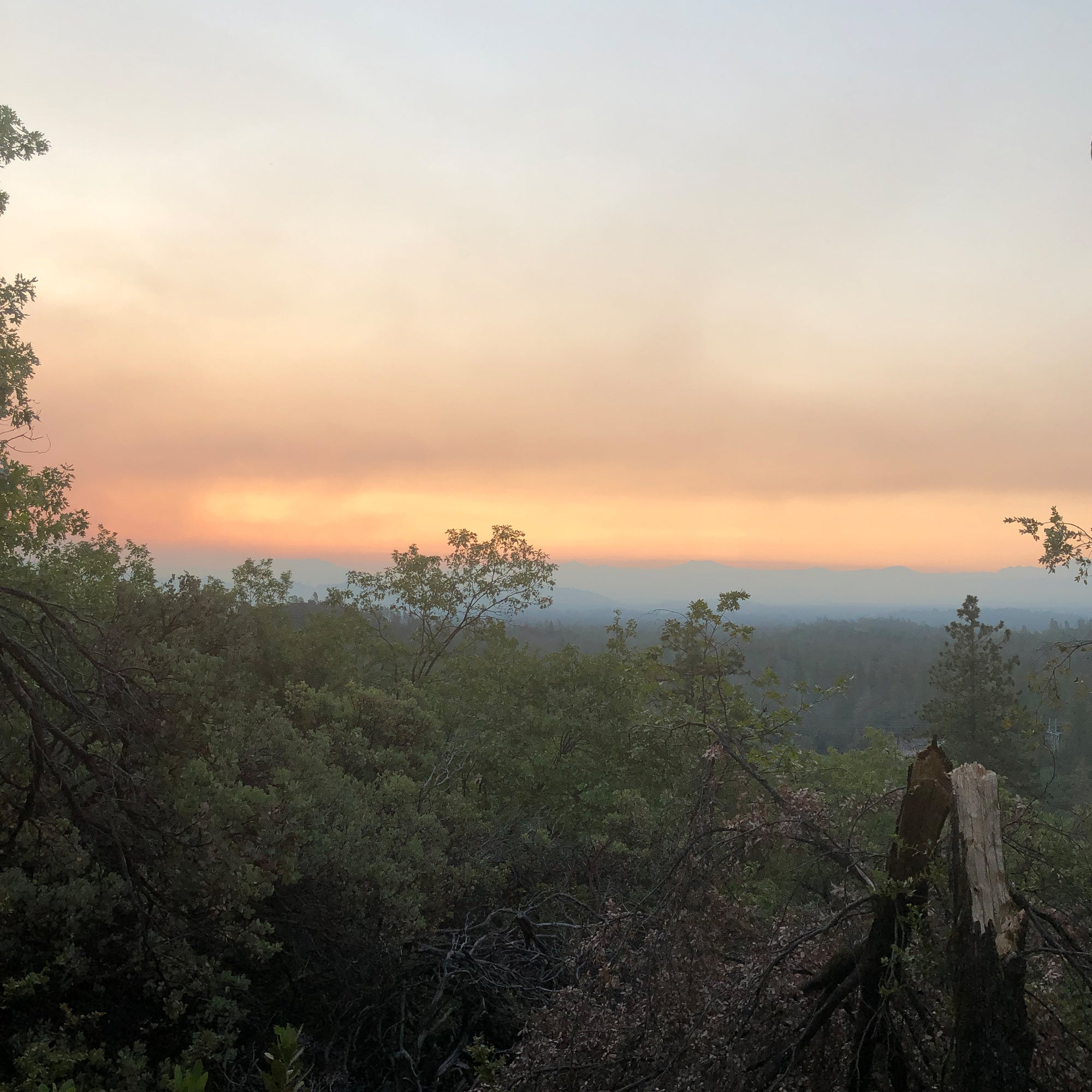 Wildfire Smoke and Your Skin