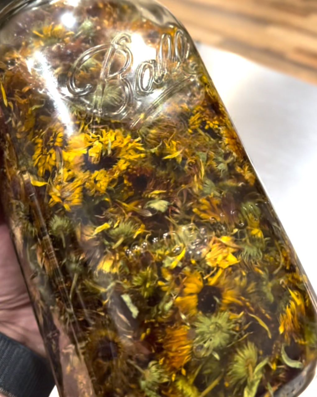 Skin Salve with Calendula