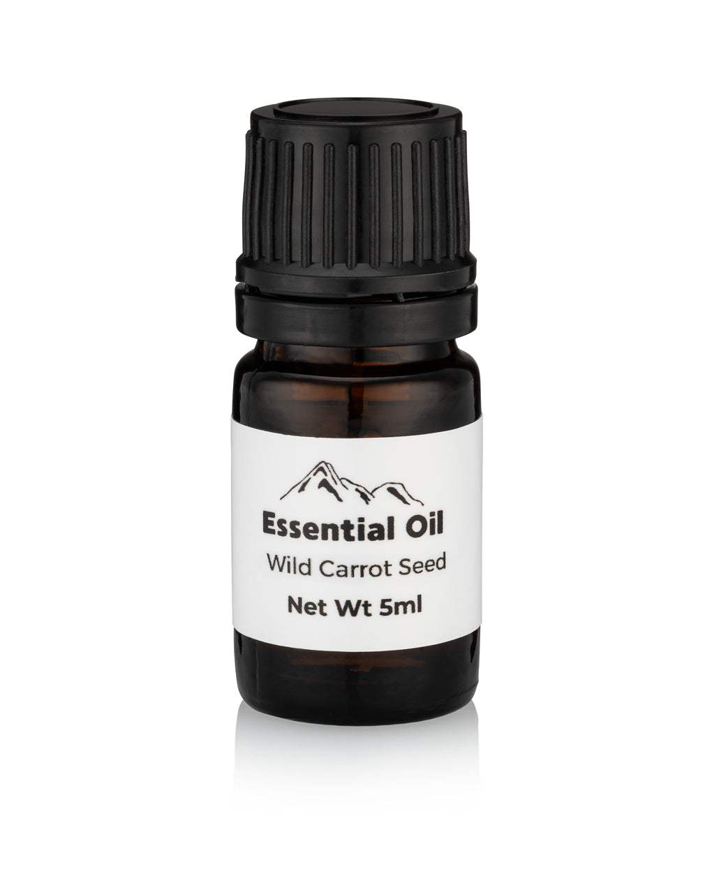 Wild Carrot Seed Essential Oil