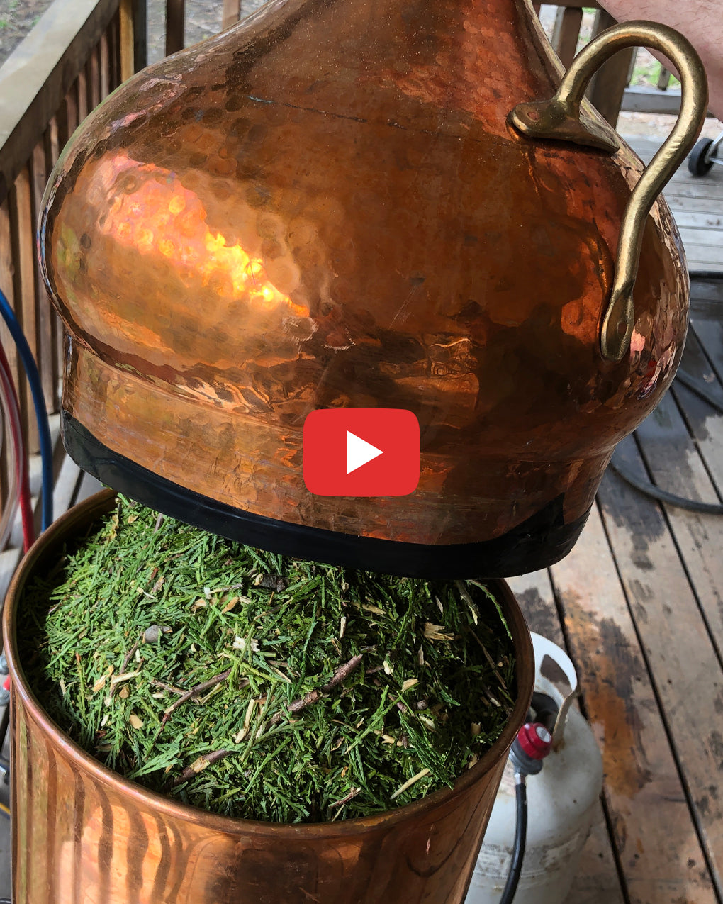 Incense-cedar Essential Oil
