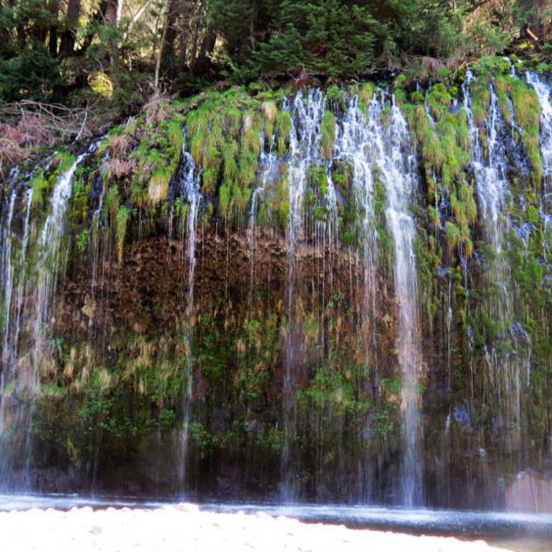 The "Forbidden Falls" - Mossbrea