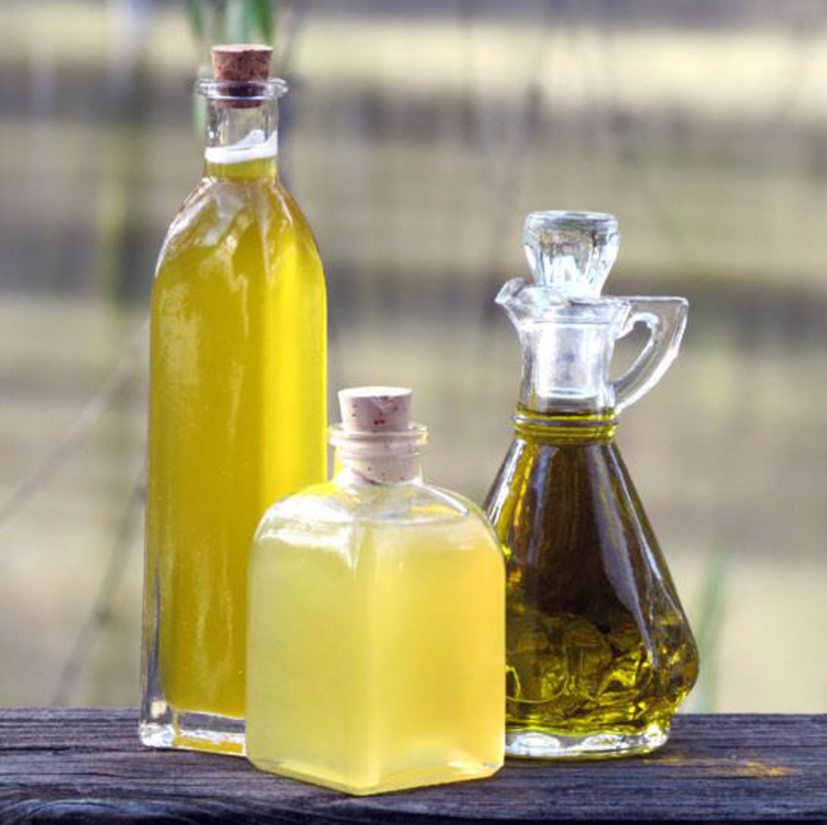 Feed Your Skin - Oil for Moisturizing