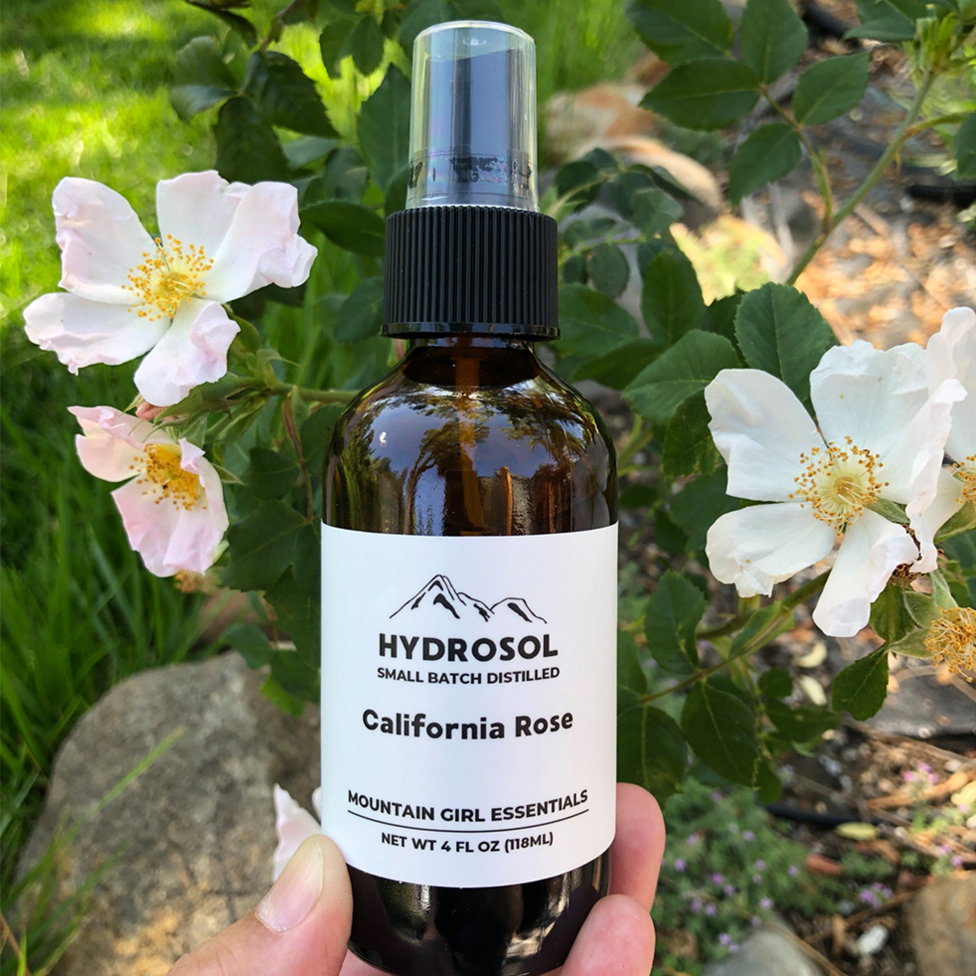 What Are Essential Oils and Hydrosols? - Mountain Girl Essentials®