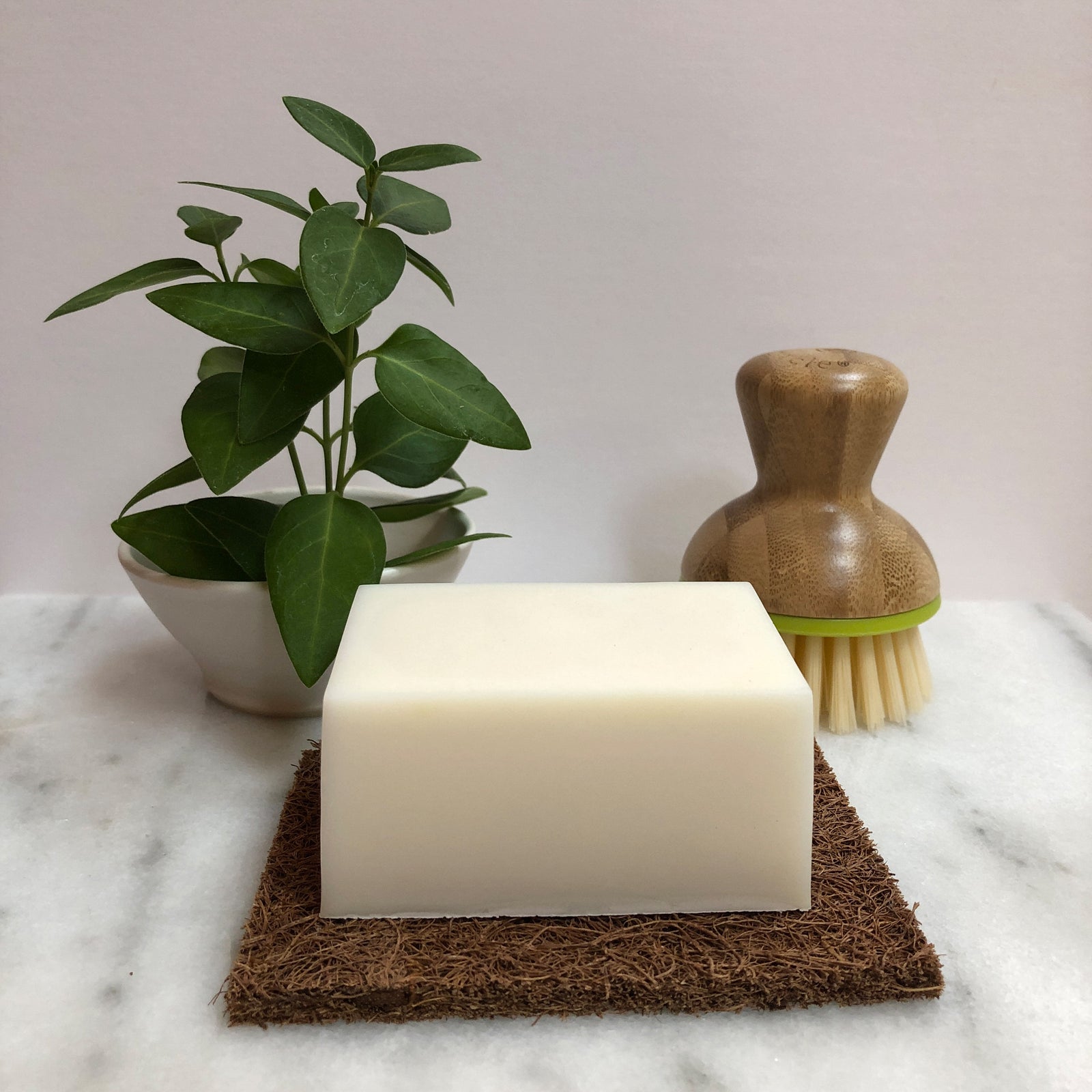 Benefits of Using a Dish Soap Block Mountain Girl Essentials®