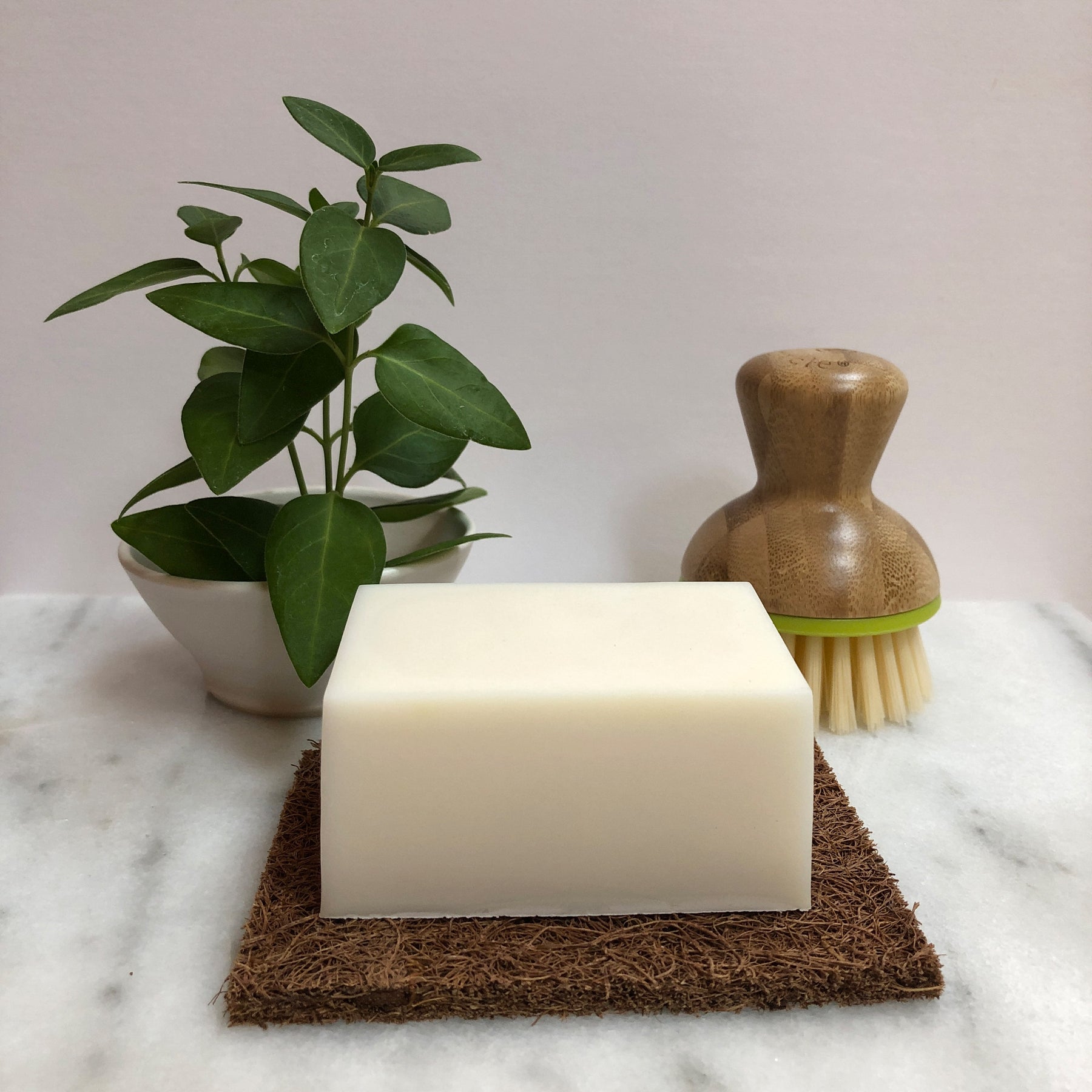 Benefits of Using a Dish Soap Block Mountain Girl Essentials®